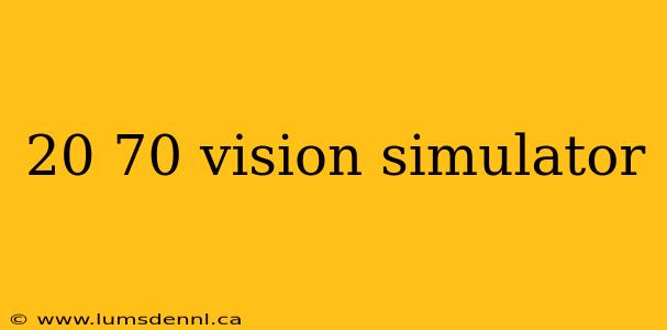 20 70 vision simulator