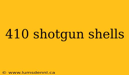 410 shotgun shells