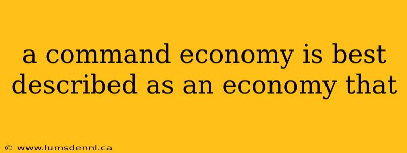 a command economy is best described as an economy that