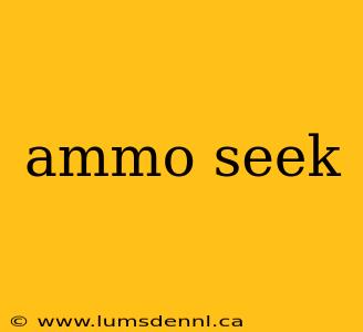 ammo seek