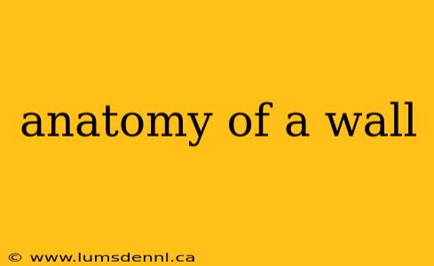 anatomy of a wall