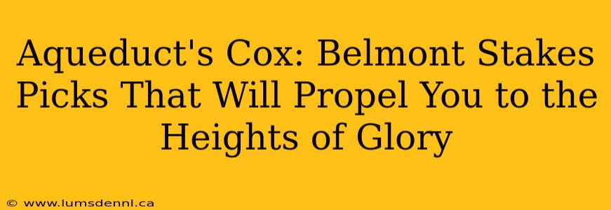 Aqueduct's Cox: Belmont Stakes Picks That Will Propel You to the Heights of Glory