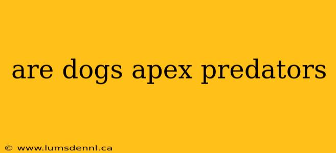 are dogs apex predators