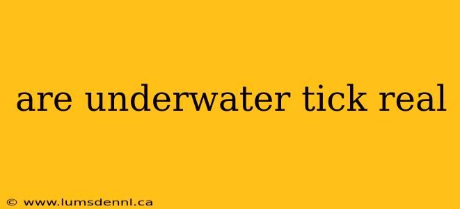 are underwater tick real