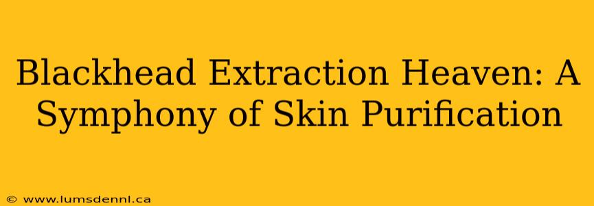 Blackhead Extraction Heaven: A Symphony of Skin Purification