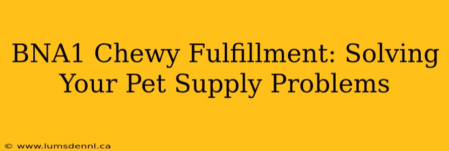 BNA1 Chewy Fulfillment: Solving Your Pet Supply Problems