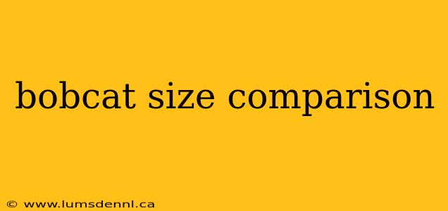 bobcat size comparison
