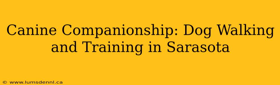 Canine Companionship: Dog Walking and Training in Sarasota