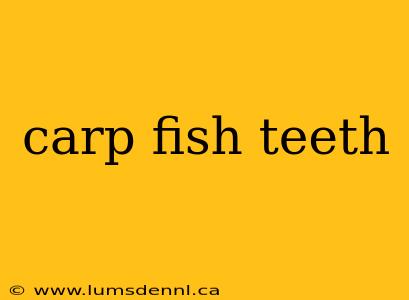 carp fish teeth
