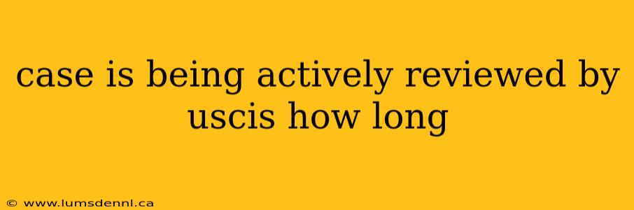 case is being actively reviewed by uscis how long