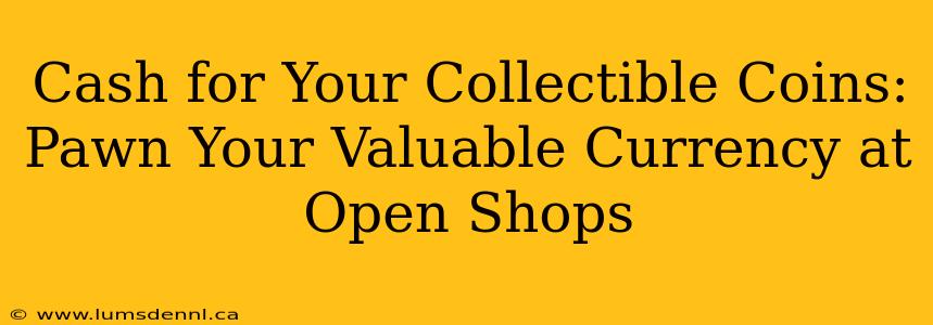 Cash for Your Collectible Coins: Pawn Your Valuable Currency at Open Shops