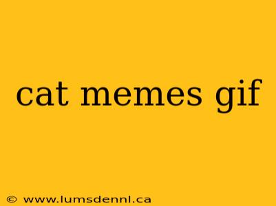 cat memes gif