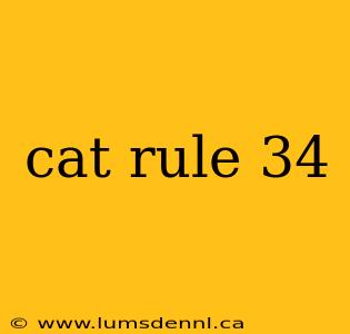 cat rule 34