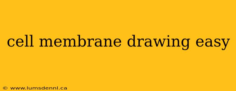 cell membrane drawing easy