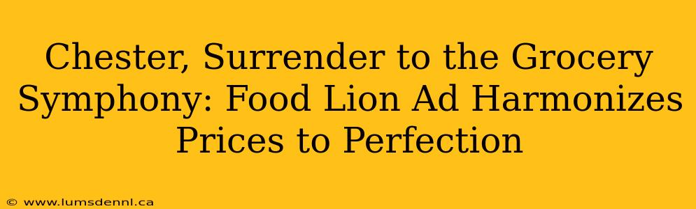 Chester, Surrender to the Grocery Symphony: Food Lion Ad Harmonizes Prices to Perfection