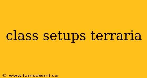 class setups terraria