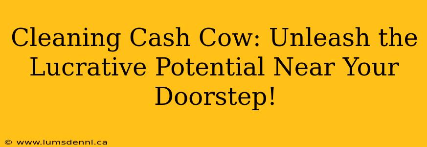 Cleaning Cash Cow: Unleash the Lucrative Potential Near Your Doorstep!