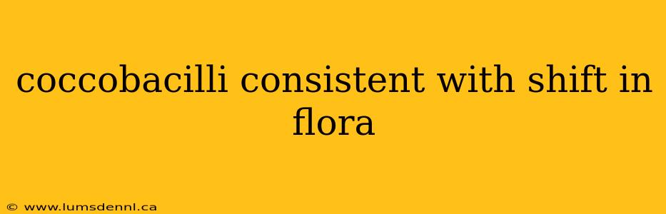 coccobacilli consistent with shift in flora