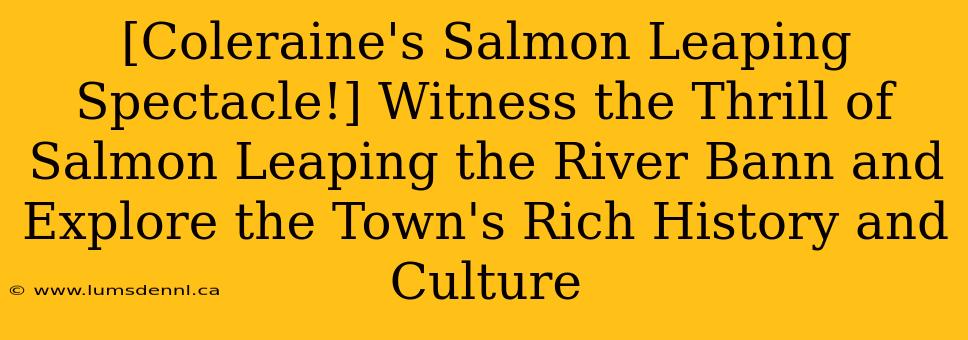[Coleraine's Salmon Leaping Spectacle!] Witness the Thrill of Salmon Leaping the River Bann and Explore the Town's Rich History and Culture