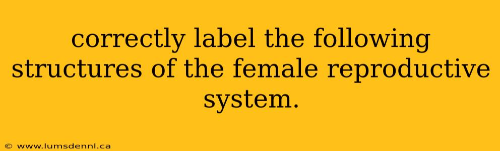 correctly label the following structures of the female reproductive system.