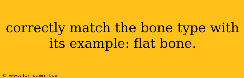 correctly match the bone type with its example: flat bone.