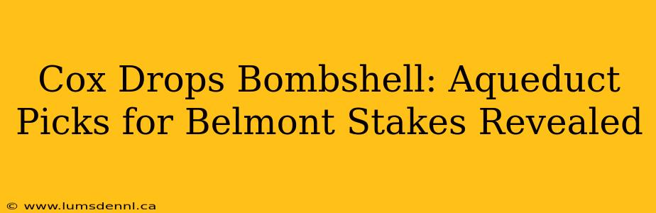 Cox Drops Bombshell: Aqueduct Picks for Belmont Stakes Revealed
