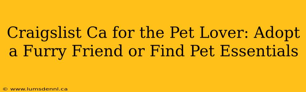 Craigslist Ca for the Pet Lover: Adopt a Furry Friend or Find Pet Essentials