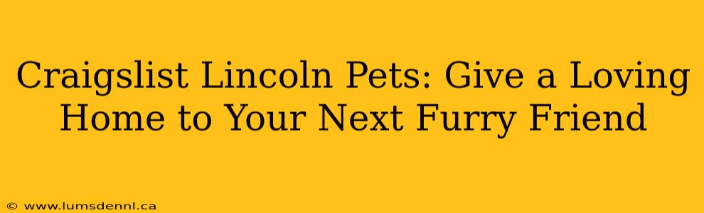 Craigslist Lincoln Pets: Give a Loving Home to Your Next Furry Friend