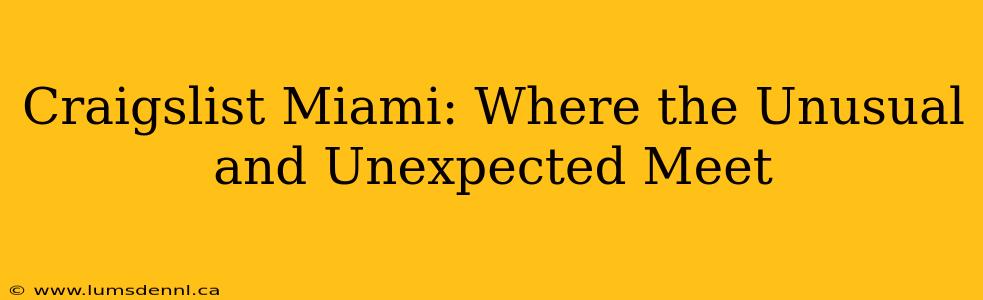 Craigslist Miami: Where the Unusual and Unexpected Meet