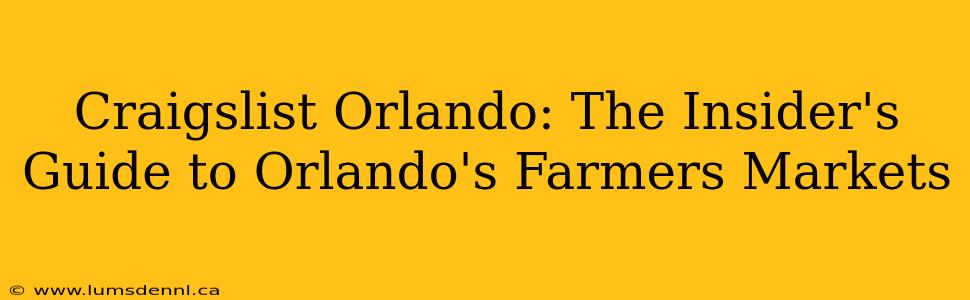 Craigslist Orlando: The Insider's Guide to Orlando's Farmers Markets