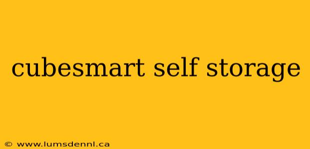 cubesmart self storage