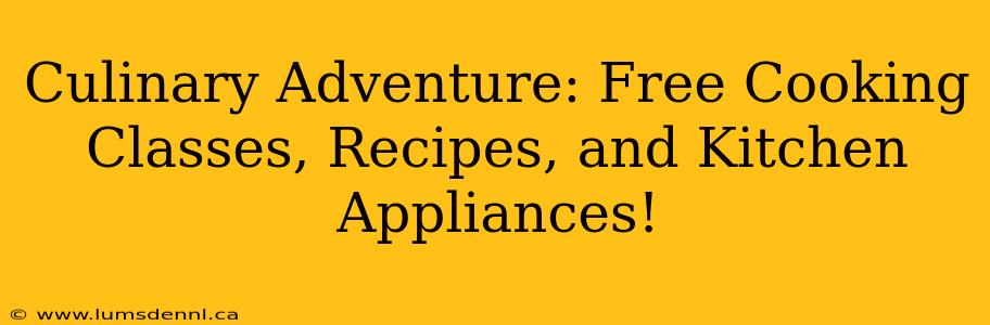 Culinary Adventure: Free Cooking Classes, Recipes, and Kitchen Appliances!
