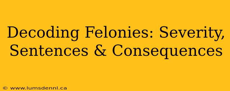 Decoding Felonies: Severity, Sentences & Consequences