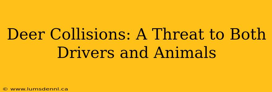 Deer Collisions: A Threat to Both Drivers and Animals