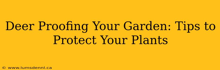Deer Proofing Your Garden: Tips to Protect Your Plants