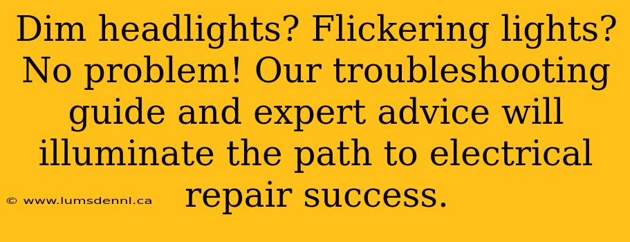 Dim headlights? Flickering lights? No problem! Our troubleshooting guide and expert advice will illuminate the path to electrical repair success.