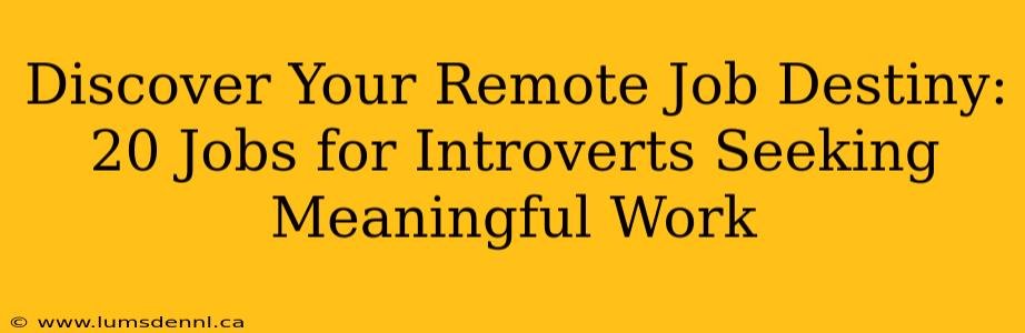 Discover Your Remote Job Destiny: 20 Jobs for Introverts Seeking Meaningful Work