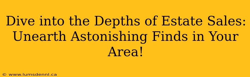 Dive into the Depths of Estate Sales: Unearth Astonishing Finds in Your Area!
