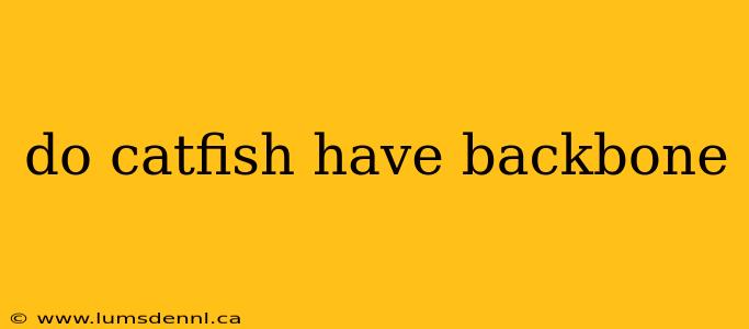 do catfish have backbone