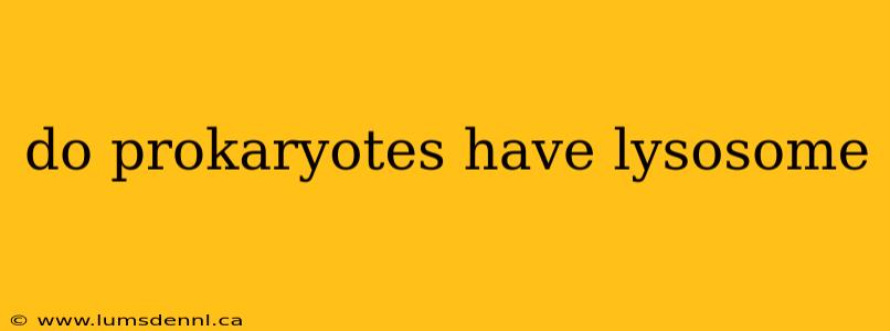 do prokaryotes have lysosome