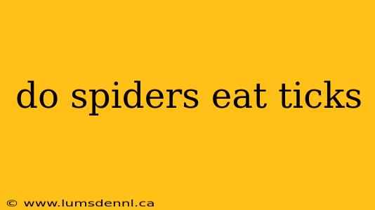 do spiders eat ticks