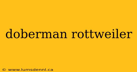 doberman rottweiler