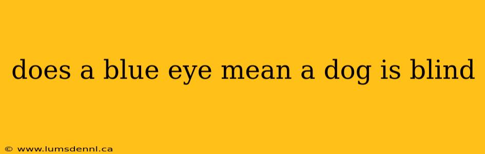 does a blue eye mean a dog is blind