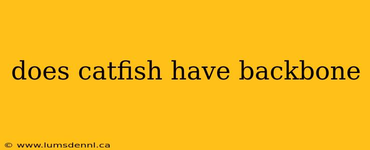 does catfish have backbone
