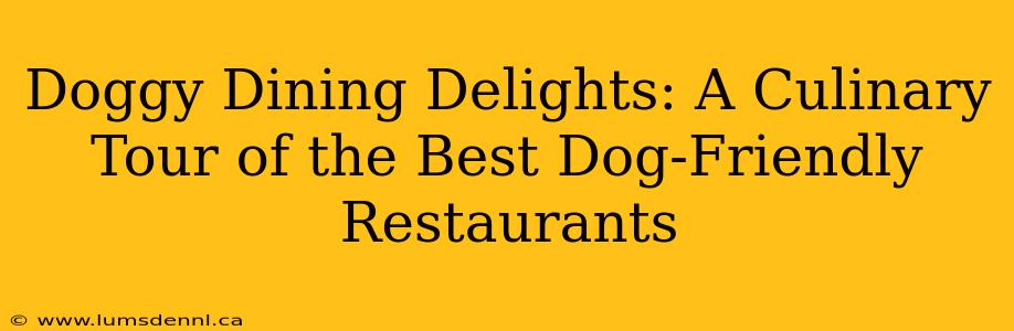 Doggy Dining Delights: A Culinary Tour of the Best Dog-Friendly Restaurants