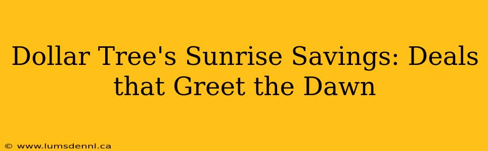 Dollar Tree's Sunrise Savings: Deals that Greet the Dawn