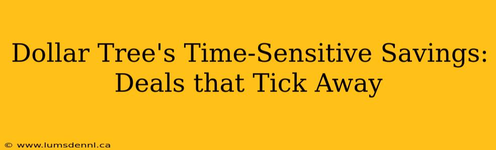 Dollar Tree's Time-Sensitive Savings: Deals that Tick Away