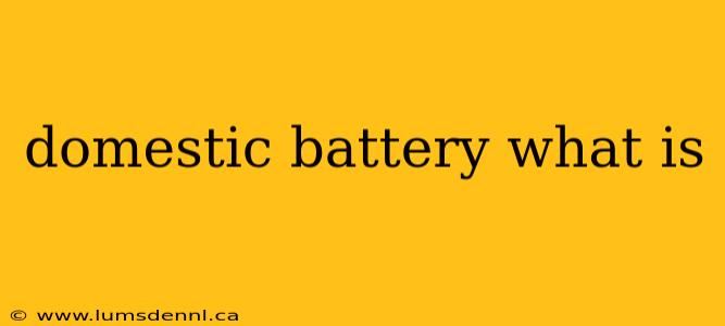 domestic battery what is