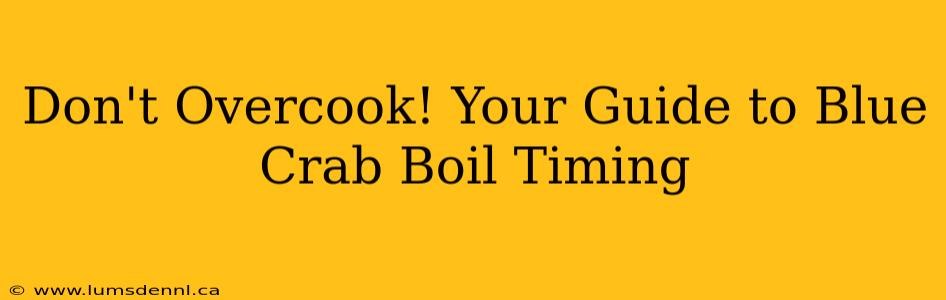 Don't Overcook! Your Guide to Blue Crab Boil Timing