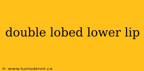 double lobed lower lip